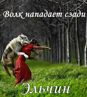 Волк нападает сзади / Эльчин