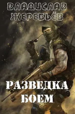 Разведка боем / Владислав Жеребьёв