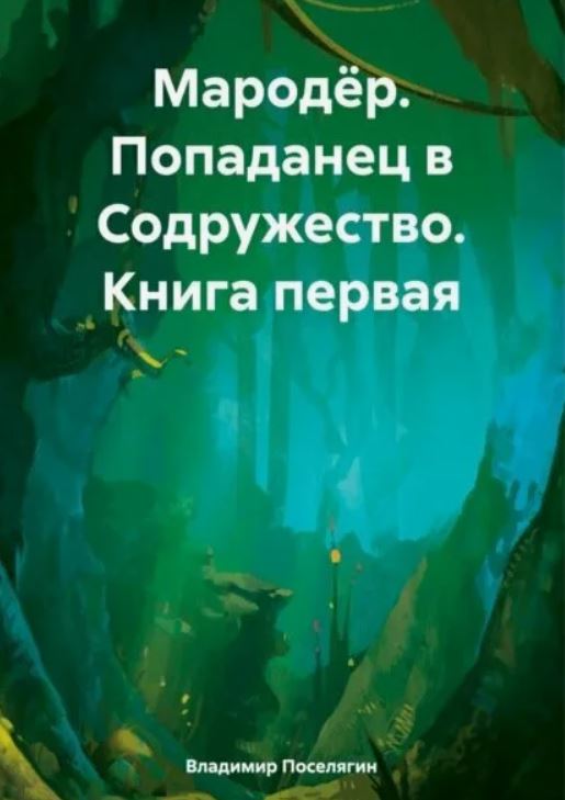 Попаданец в Содружество / Владимир Поселягин (1)